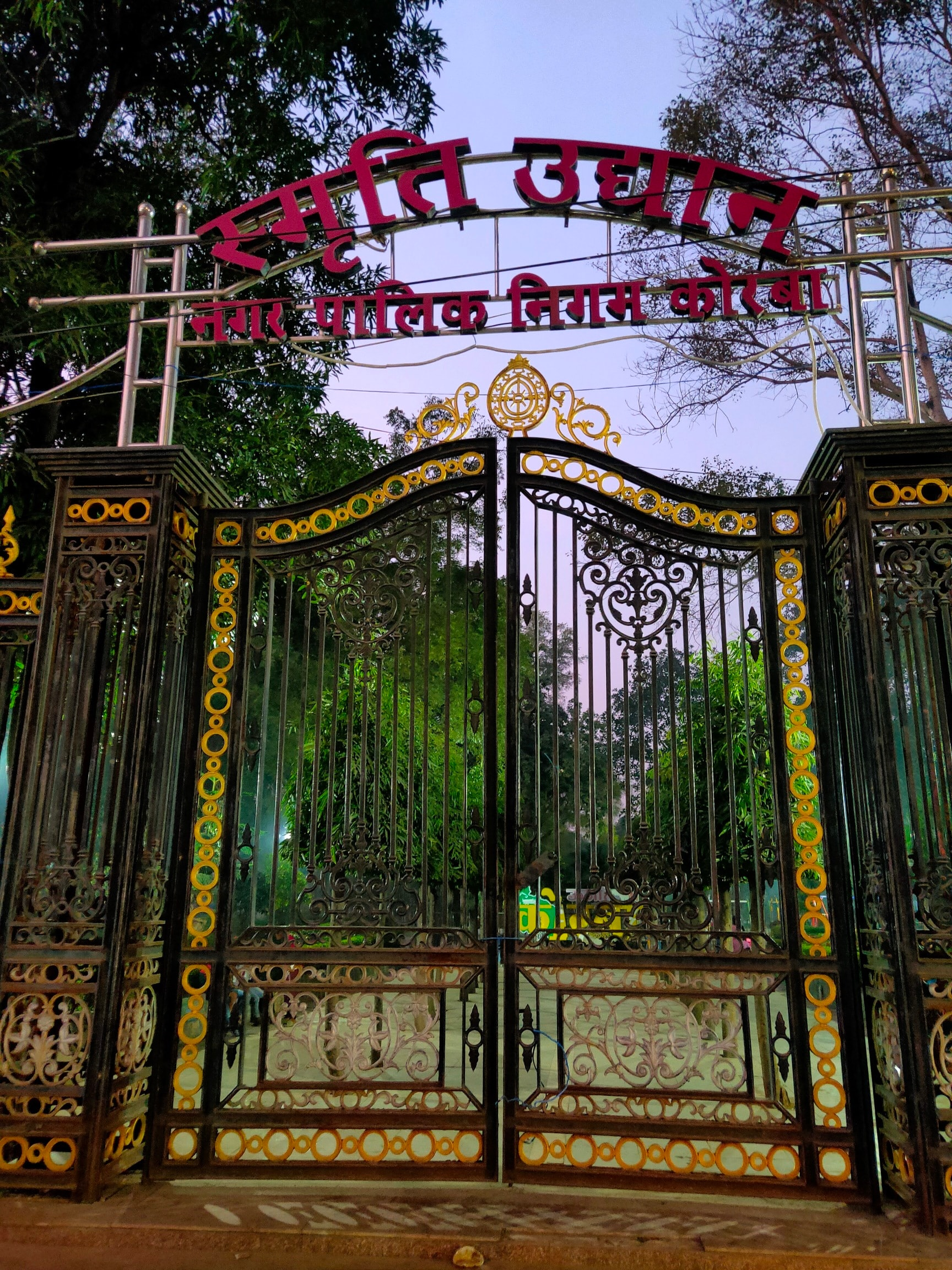 Smriti Park Niharika